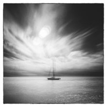 I Dream In Infrared / ***