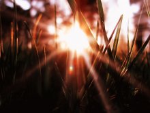 little Dawn / ^__^