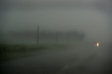 The wet element / ***