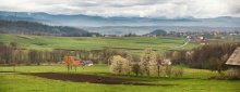 April in the Carpathian / ***