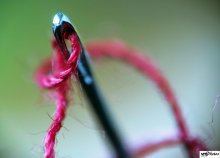 Macro / ***