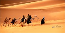 Caravan / ***