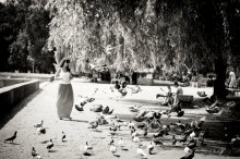 Quay, Toffee und Tauben / ***