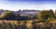 Misty Dawn / ***