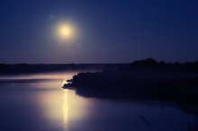 in silence / ****