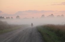 Road / 07.2011