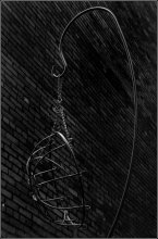A lattice / ***