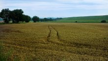 MORGEN IN DER SLOWAKEI / *****