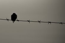 Einsamkeit / ***