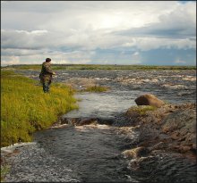 about the fisherman ... / ***