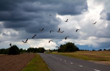 on the wing / --------------