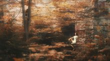 Autumnal / ***