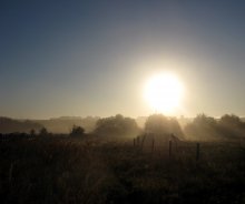 Der Sonne entgegen / ***