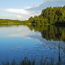 White Lake / ***
