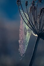  / http://photoclub.by/blog/2593