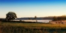 At dawn / ***