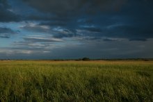 Before the storm / .......................