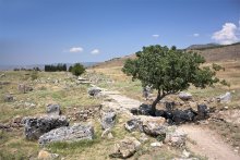 And then - the only ancient road / ***