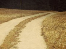 road to nowhere / ......