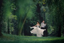 The Swan Princess / ***