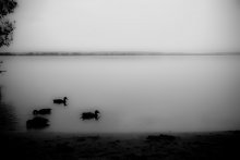 Zaslavskoe / ***
