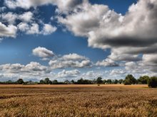 ... Bread, houses and clouds ... / ***