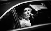 WEDDING PORTRAIT / ***