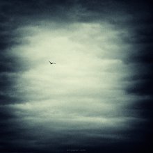 [ V ] / ***