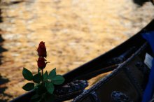Venice / ***