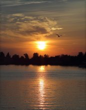 bei Sonnenuntergang / ***