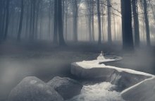 Fairy of Water / ***