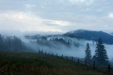 Evening fog / ***