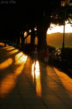 Sunset / ***