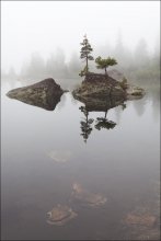 In the cloud / ***