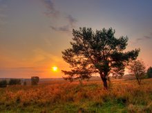 New day / ...........
