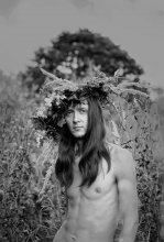 a man and a tree / ........