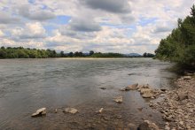 Tisza / ***