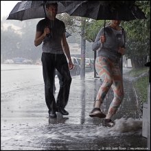 Rain / ***