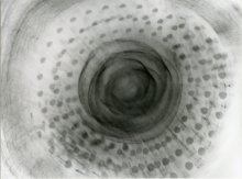 Untitled / ***