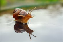 We had to dry land ... / ***