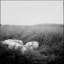  / hassel. 500cm
t-max 100