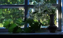 On the window / ***