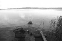Out of the fish ... / ***