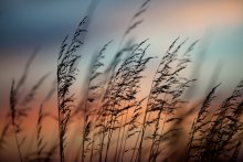On the sunset / ***
