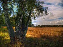 Homelands / ******************