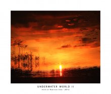 Underwater world II / in the red))