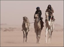 They gave birth to the desert ... / ***