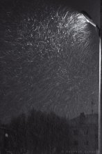 Snow / ***