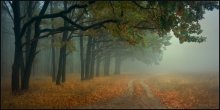 AUTUMN MELANCHOLY ... / ***