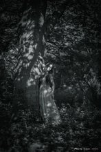 16 / ***********